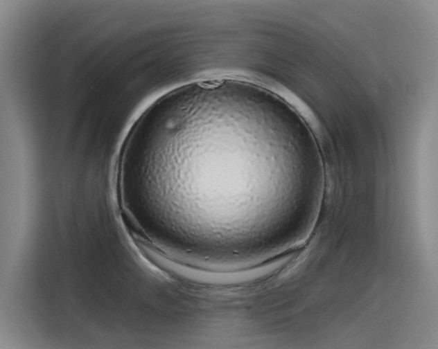 X0000114211102200910161242