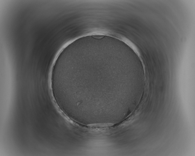 X0000114211104200910161242