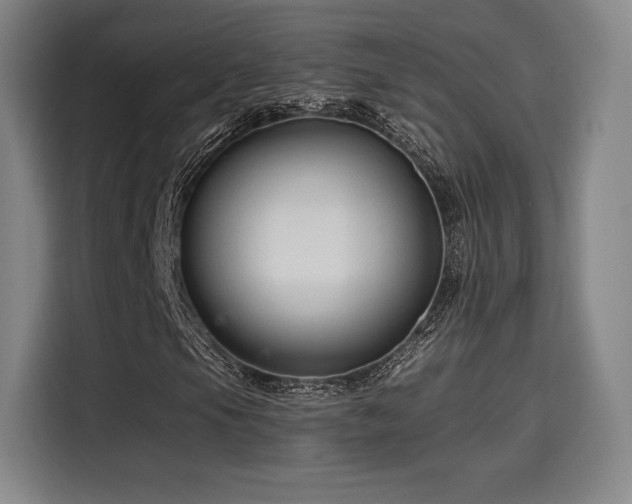 X0000114211105200910161242