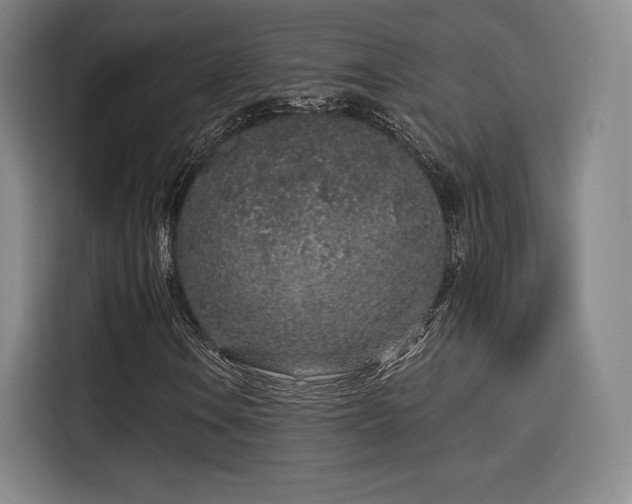 X0000114211106200910161242