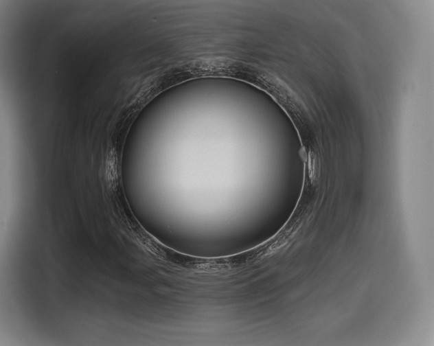 X0000114211107200910161242