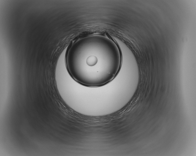 X0000114211108200910161242