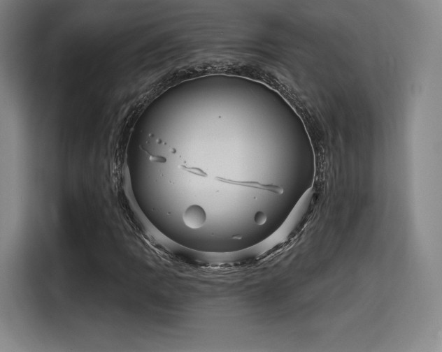 X0000114211109200910161242