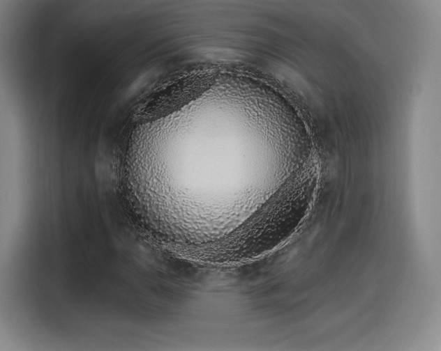 X0000114211110200910161242