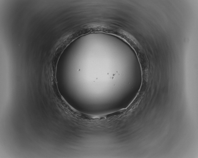 X0000114211111200910161242