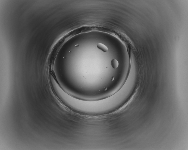 X0000114211114200910161242