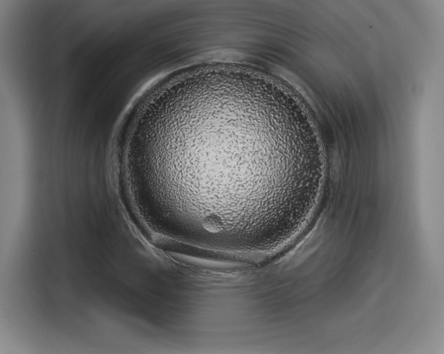 X0000114211115200910161242