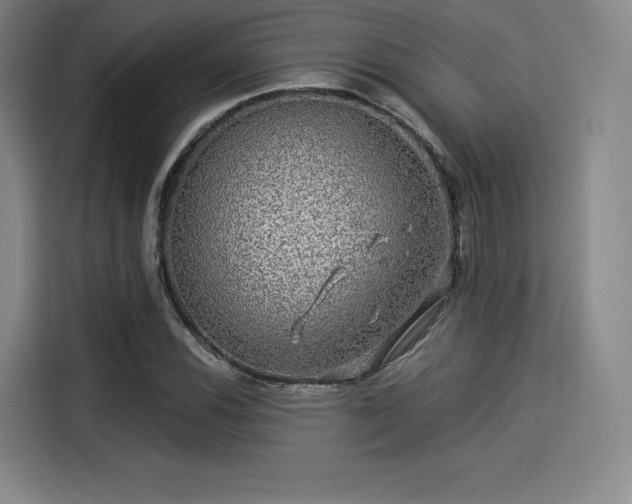 X0000114211116200910161242