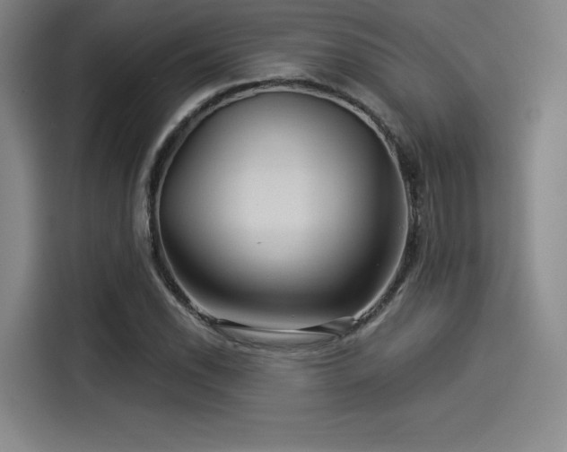 X0000114211118200910161242