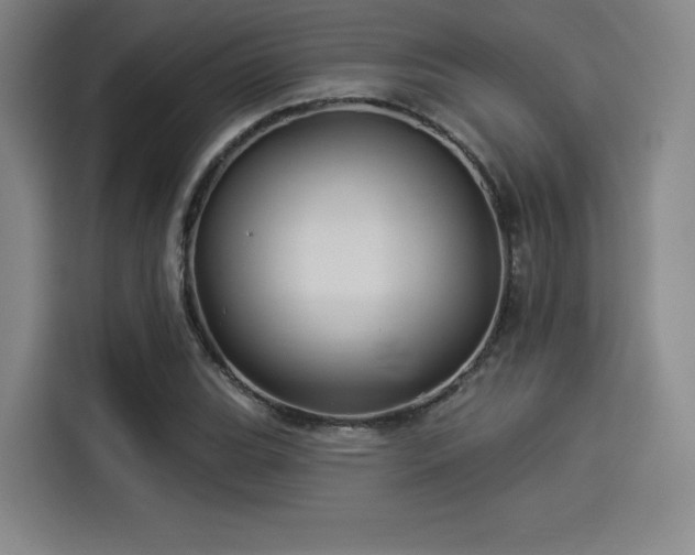 X0000114211119200910161242