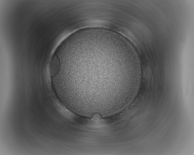 X0000114211120200910161242