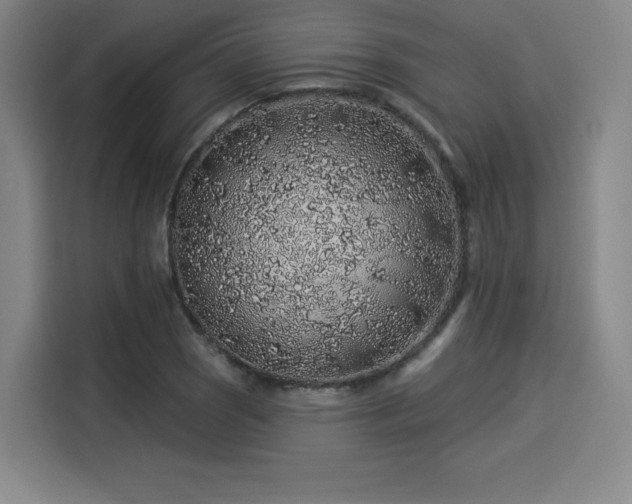 X0000114211121200910161242