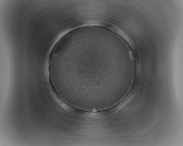 X0000114211124200910161242