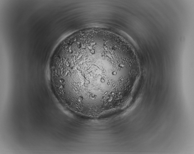 X0000114211125200910161242