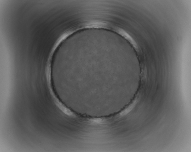 X0000114211130200910161242