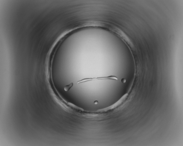 X0000114211132200910161242