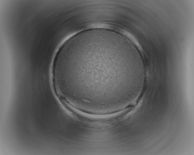 X0000114211133200910161242