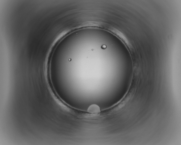 X0000114211135200910161242