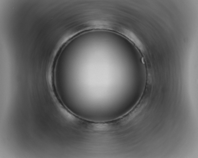 X0000114211136200910161242