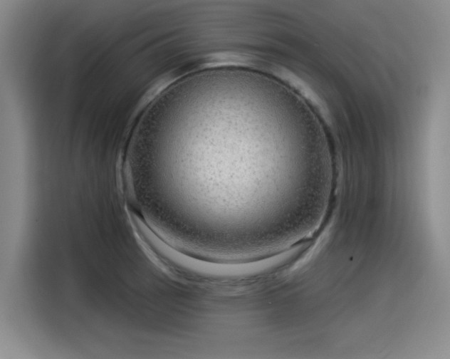X0000114211137200910161242