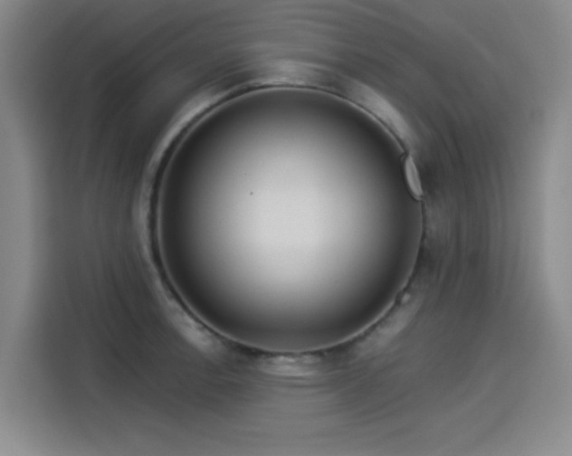 X0000114211138200910161242