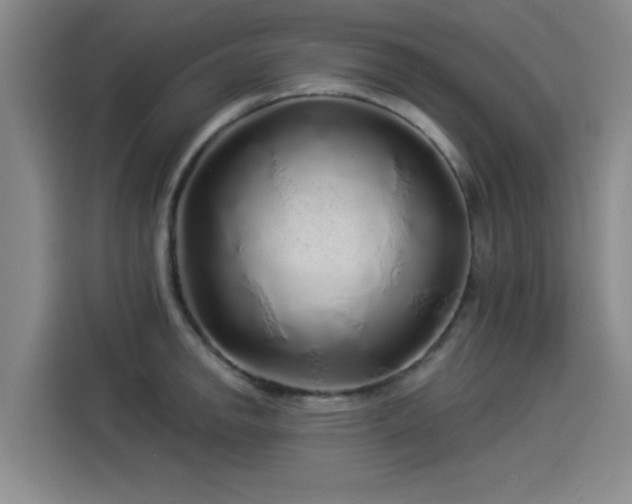 X0000114211142200910161242