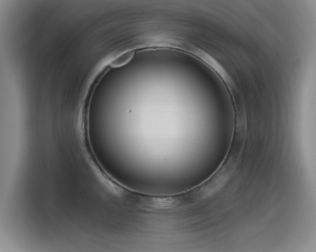 X0000114211144200910161242