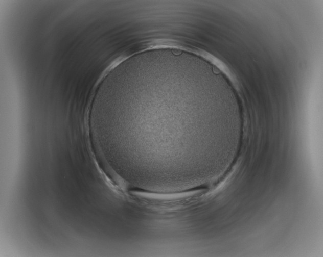 X0000114211145200910161242