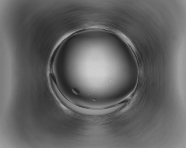 X0000114211149200910161242