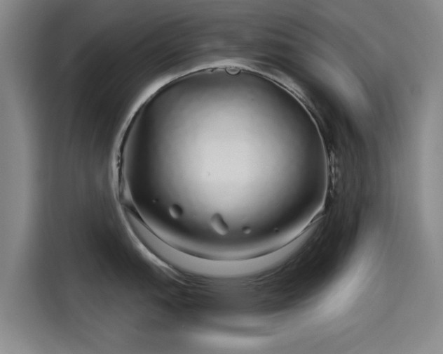X0000114211151200910161242