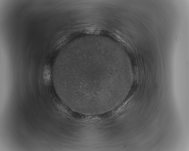 X0000114211154200910161242