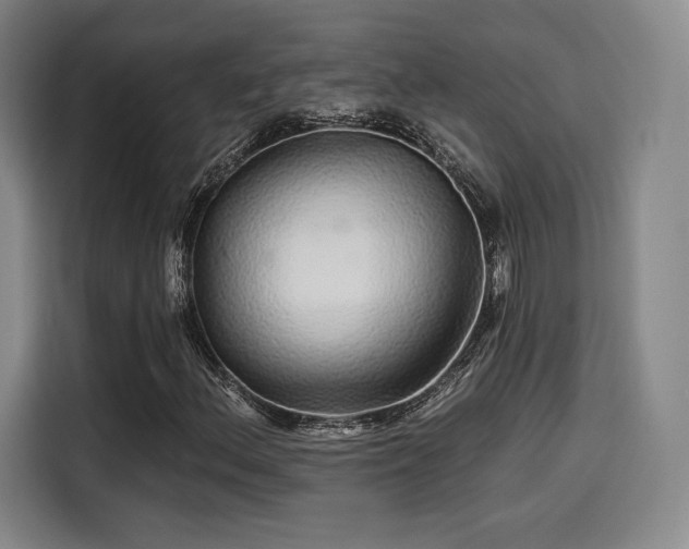 X0000114211156200910161242