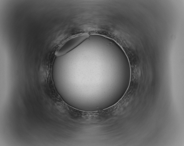 X0000114211157200910161242