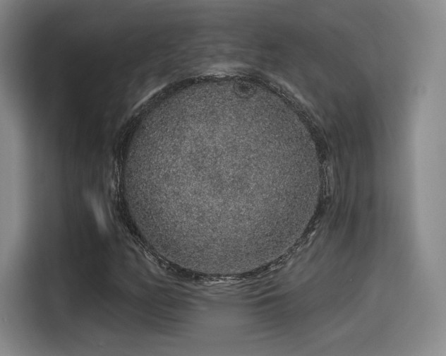 X0000114211158200910161242