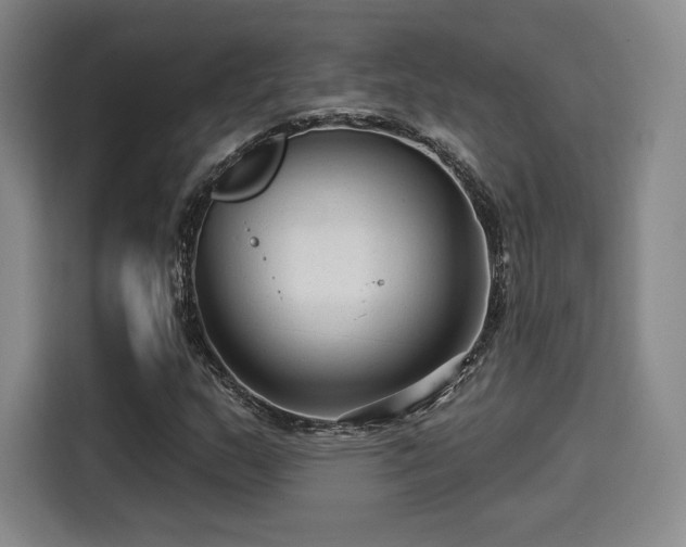 X0000114211159200910161242