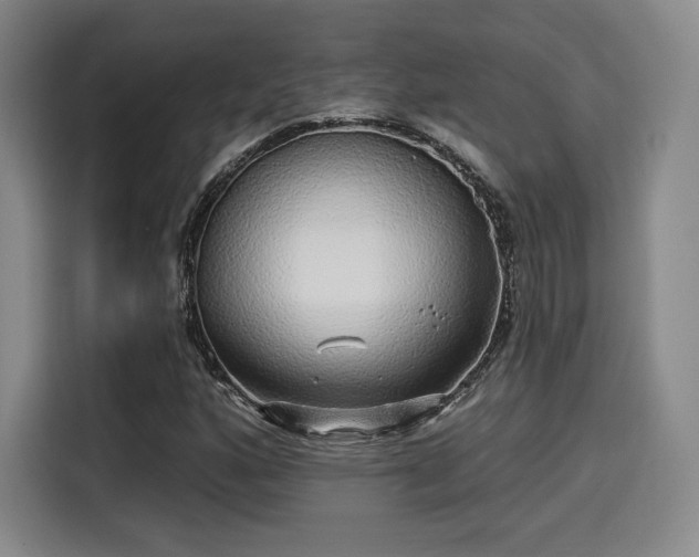 X0000114211160200910161242