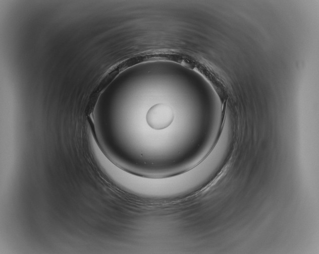 X0000114211161200910161241