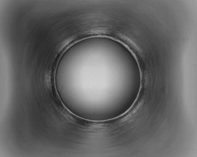 X0000114211162200910161241
