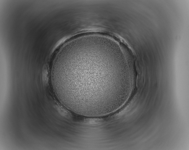 X0000114211163200910161241