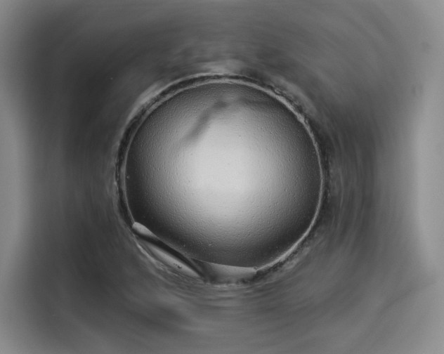 X0000114211168200910161241
