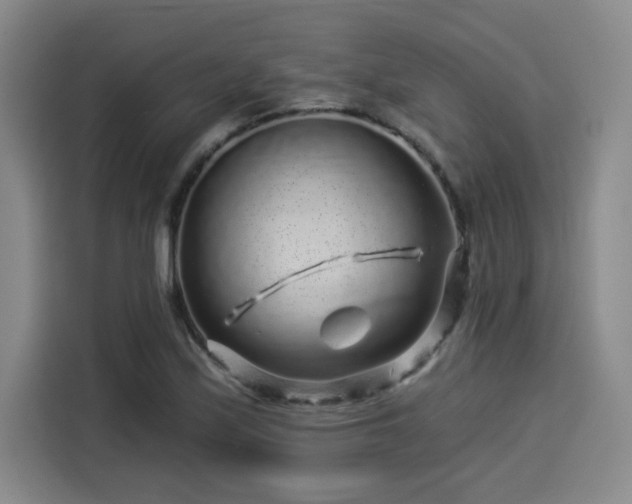 X0000114211171200910161241