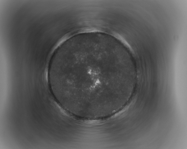 X0000114211173200910161241