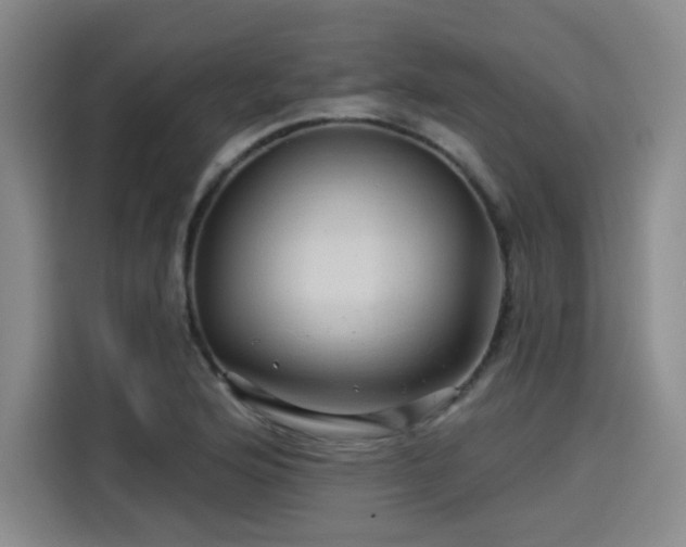 X0000114211176200910161241