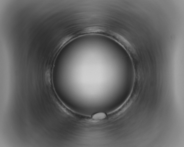 X0000114211177200910161241