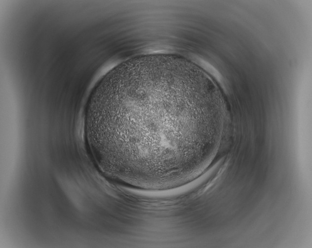X0000114211179200910161241