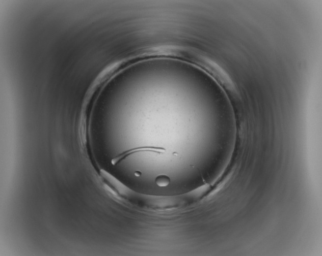 X0000114211180200910161241