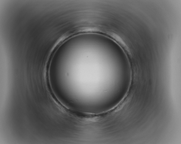 X0000114211181200910161241