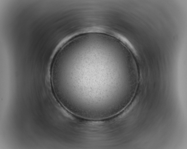 X0000114211184200910161241
