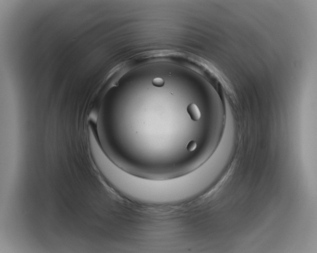 X0000114211185200910161241
