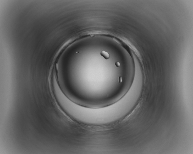 X0000114211189200910161241